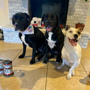 Fundraising Page: Candyce Hatch